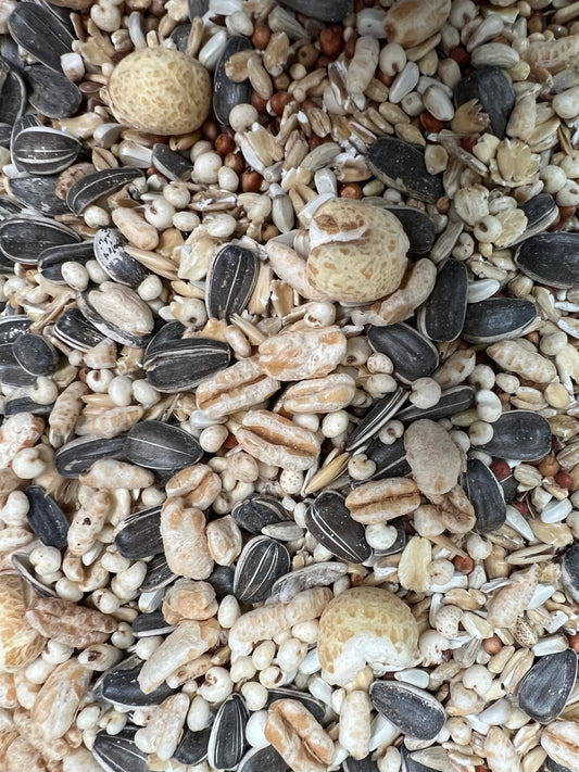 Seed and Grain Mix